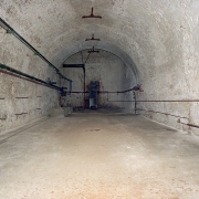 Brewery cellar