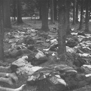 Bodies of prisoners, May 1945