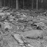 Leichen von Häftlingen, Mai 1945