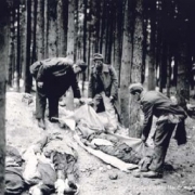 Bodies of prisoners, May 1945
