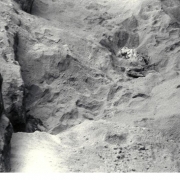 Corpse of an inmate, 1944-45