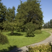 Memorial stone