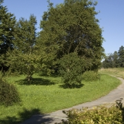 Memorial stone