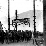 Ebensee concentration camp: survivors greet liberators, May 1945