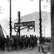 Survivors greet liberators, May 1945