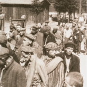 Survivors leave the camp, May 1945