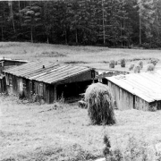 Lagergelände 1958