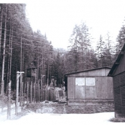 Camp 1947