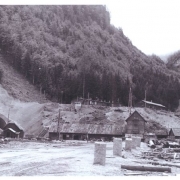 Camp 1947