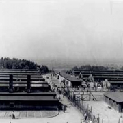 Mauthausen concentration camp